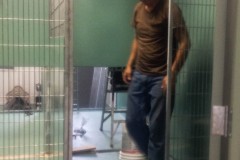 Kennel installation
