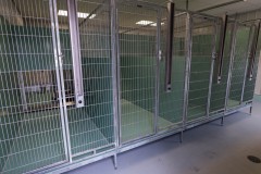 Kennels