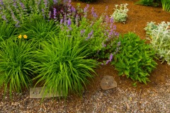 Memorial Garden