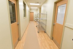 Surgery Suite Hallway